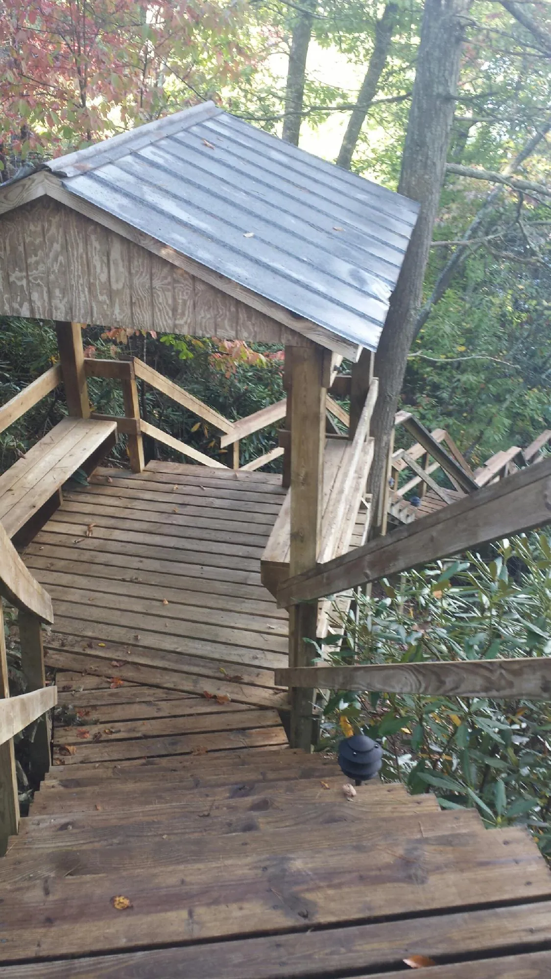 Metal roofed shelter over wooden steps on a wooded walkway — Skylight Repair & Installation work by our crew in Collins