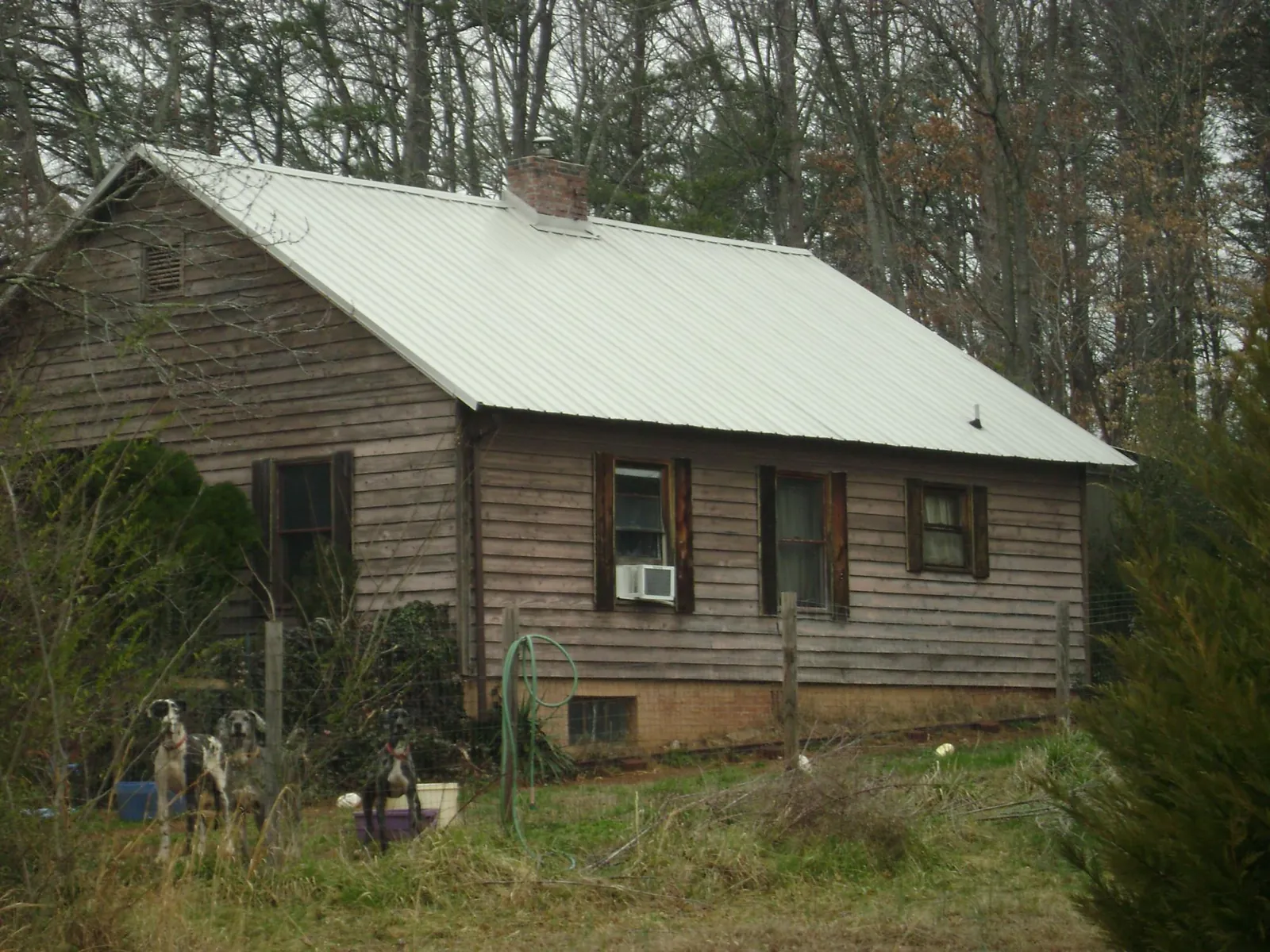 White metal roof on an old wood sided farmhouse, from a Asphalt Shingle Roof Repair job in Collins